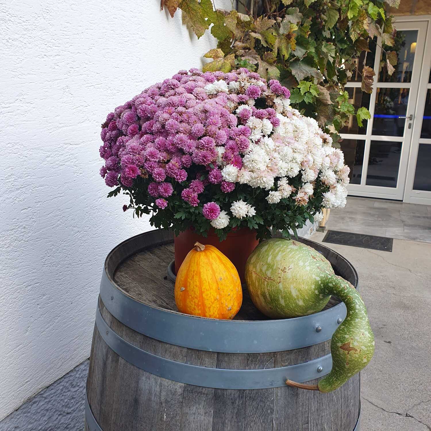 Burgenland und Wachau