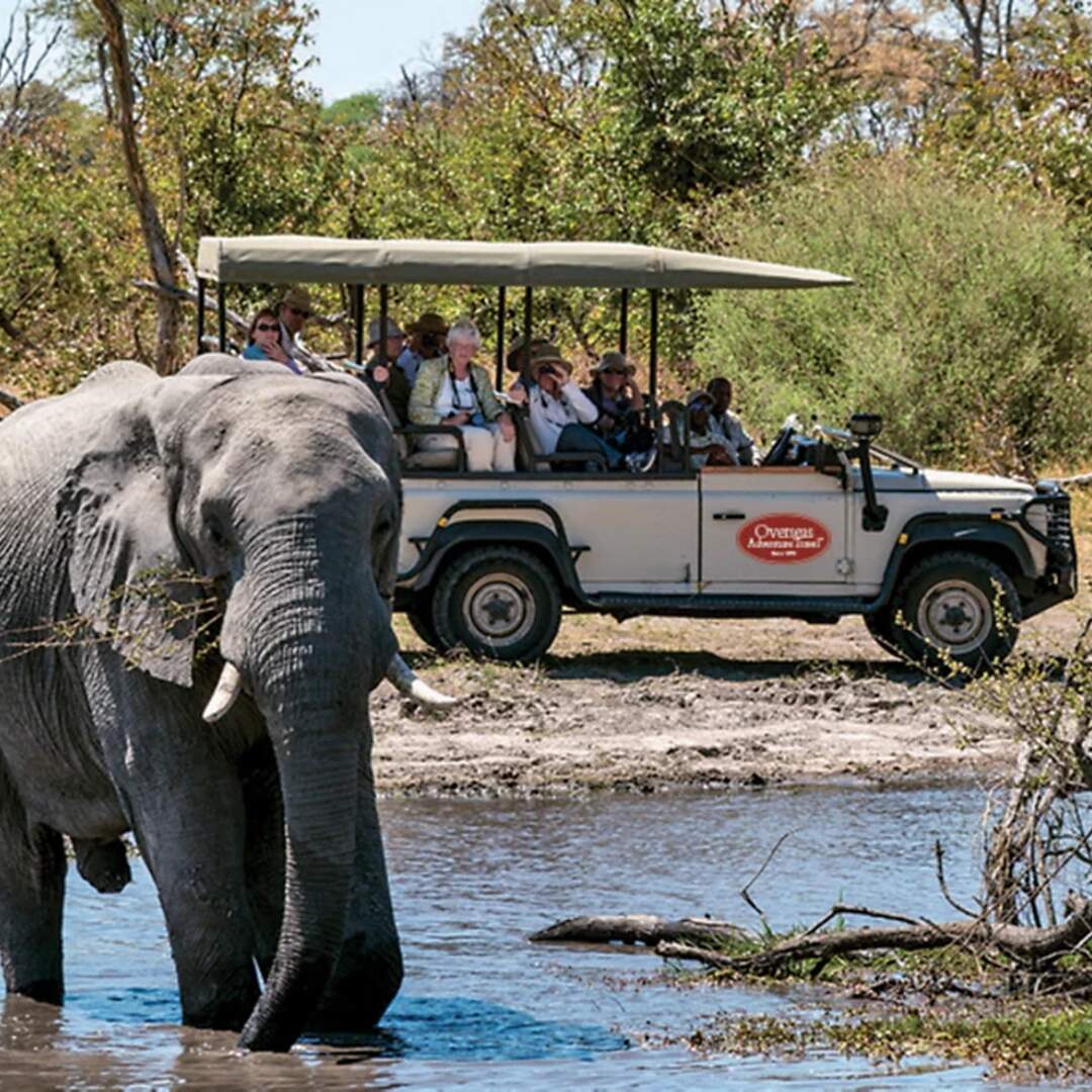 Safari in Southern Africa