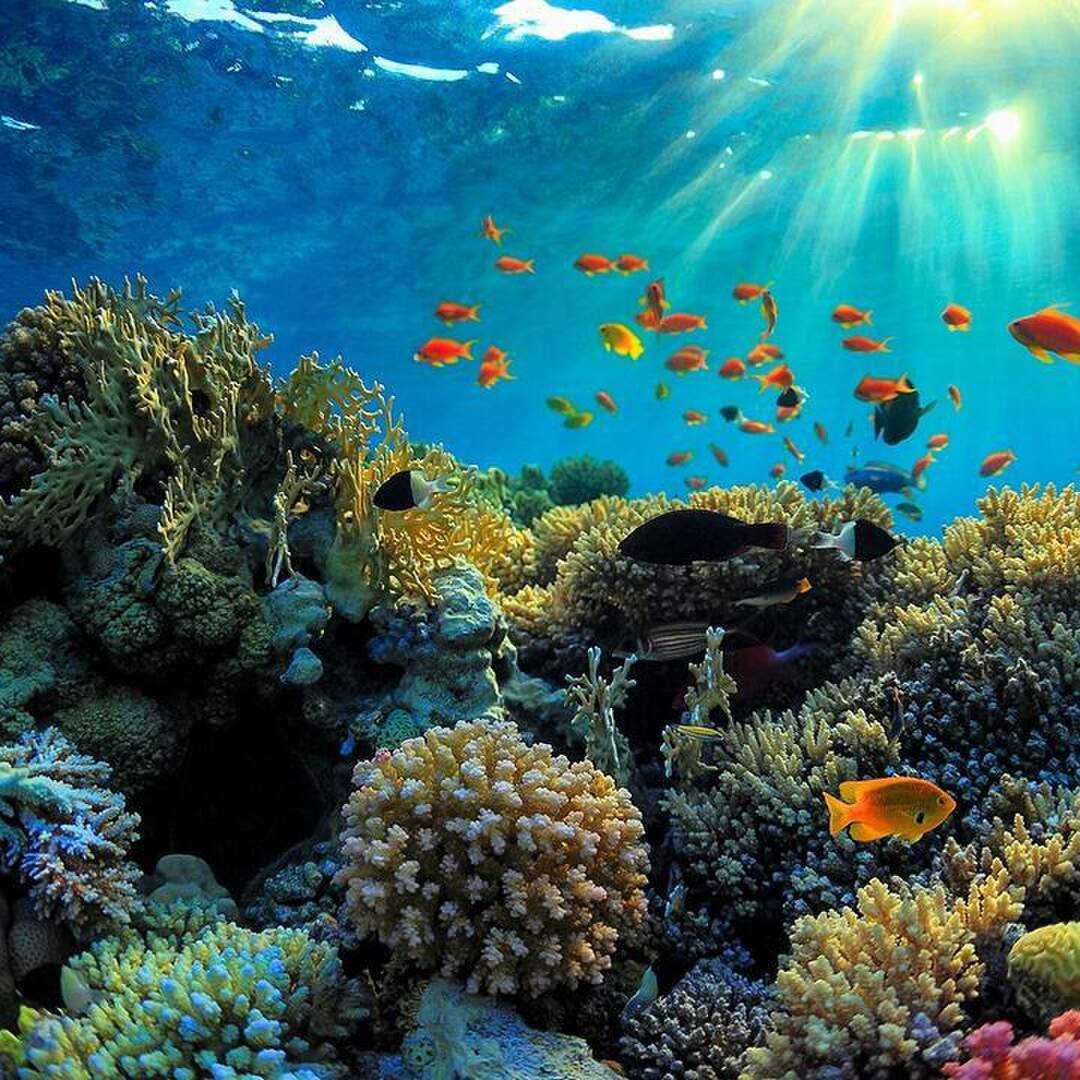 Australia - Reef & Red Rocks