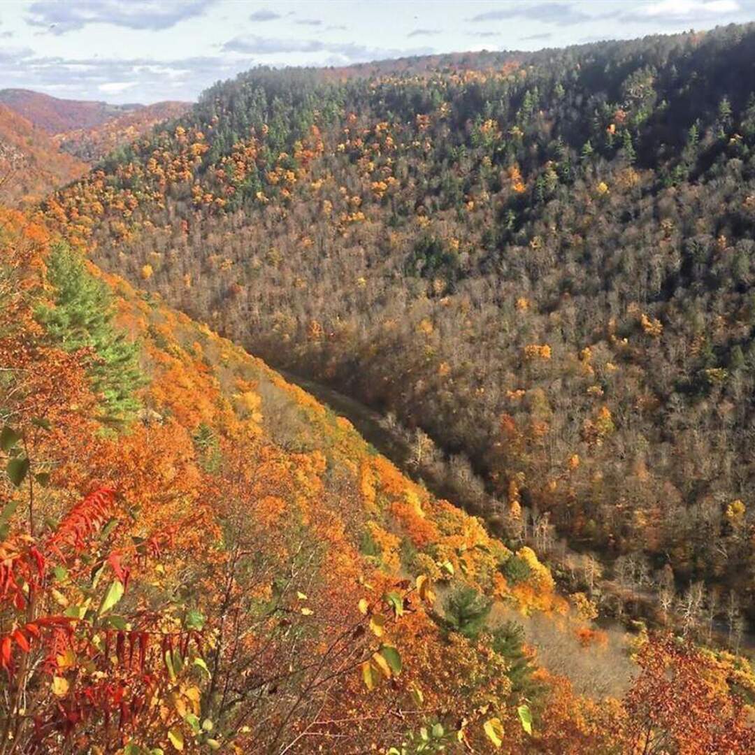 Fall on the East Coast
