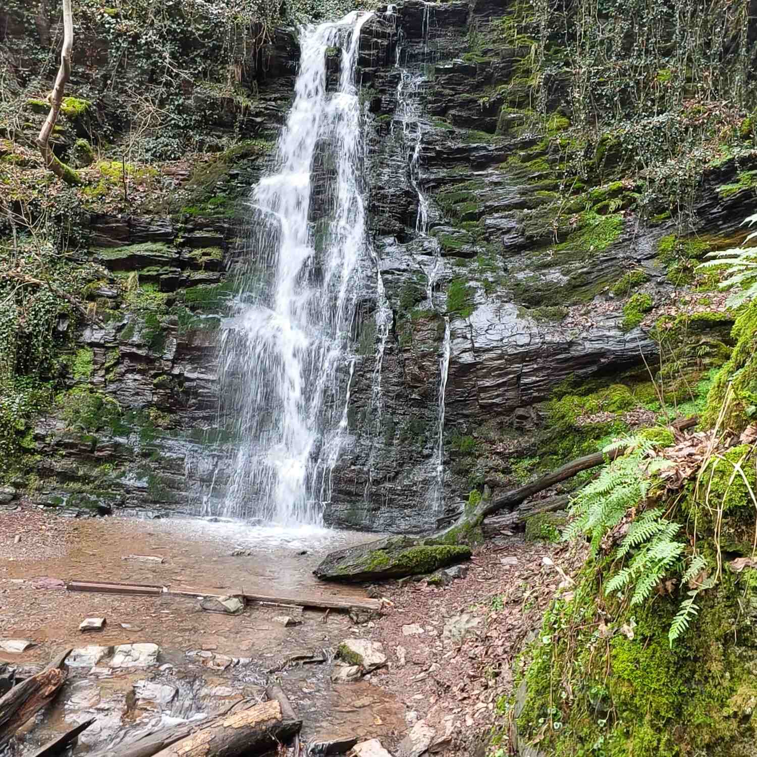 Kurztrip in die Vulkaneifel