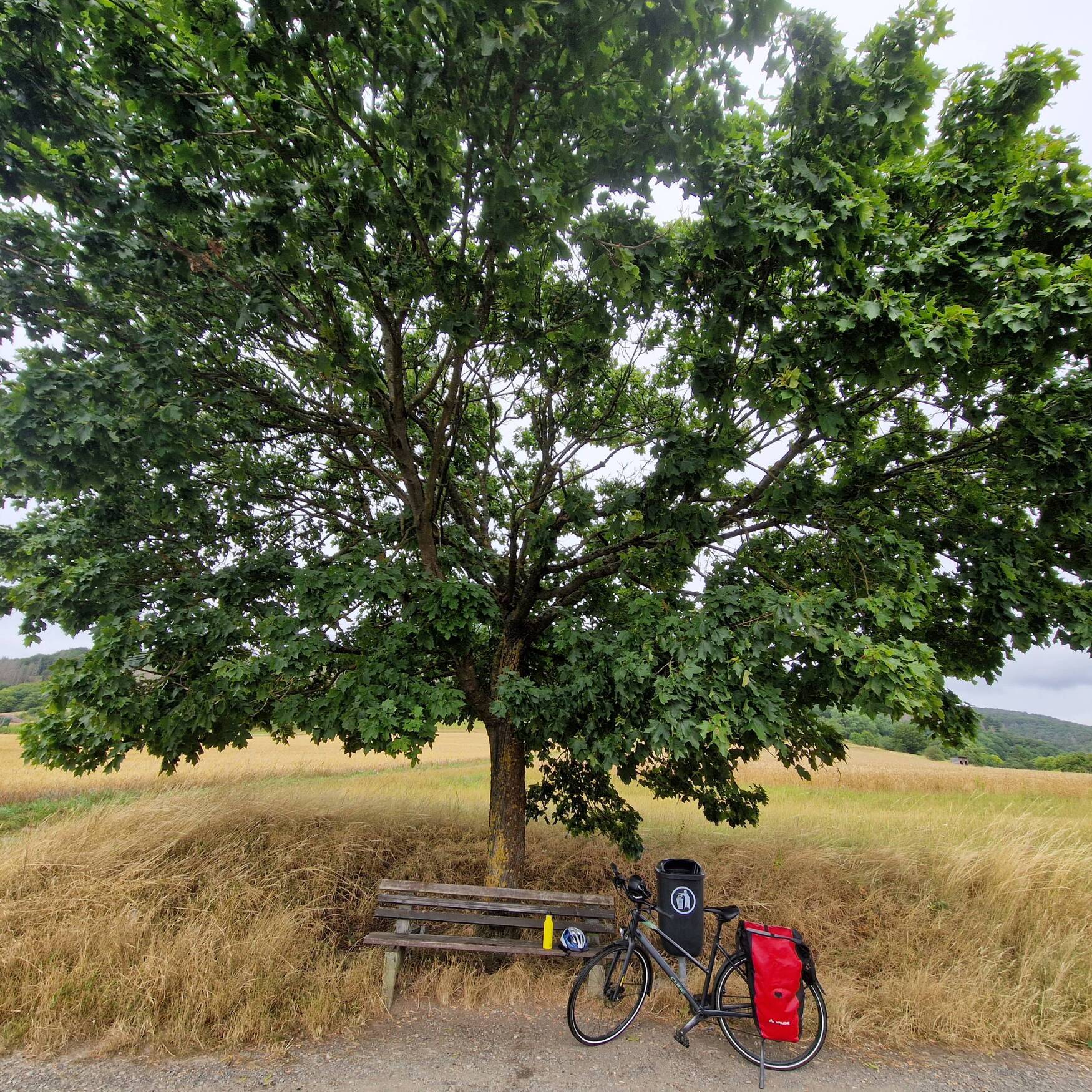 Radtour in den Osten