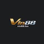 Vin88foo1