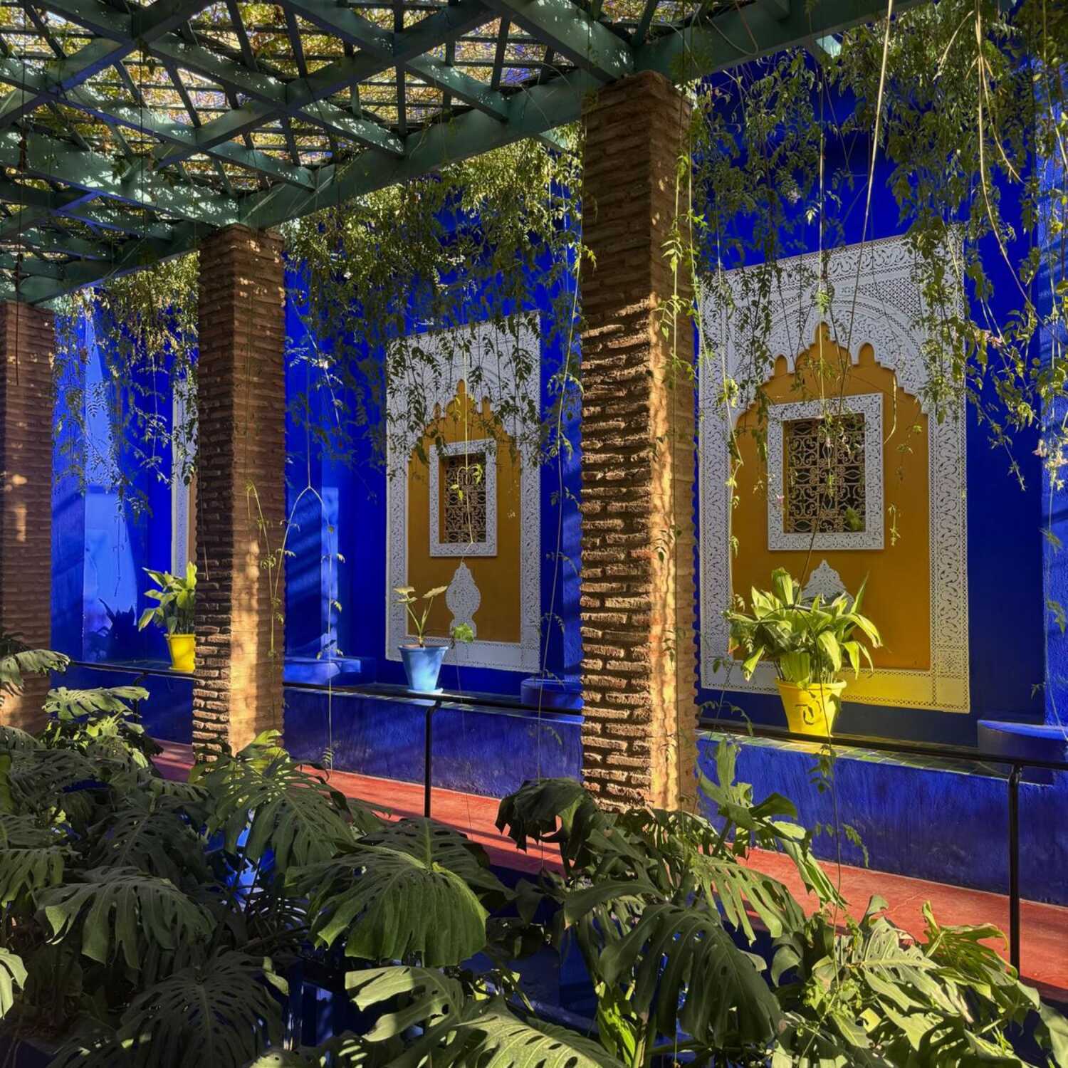 Piccioni Gone Marrakech