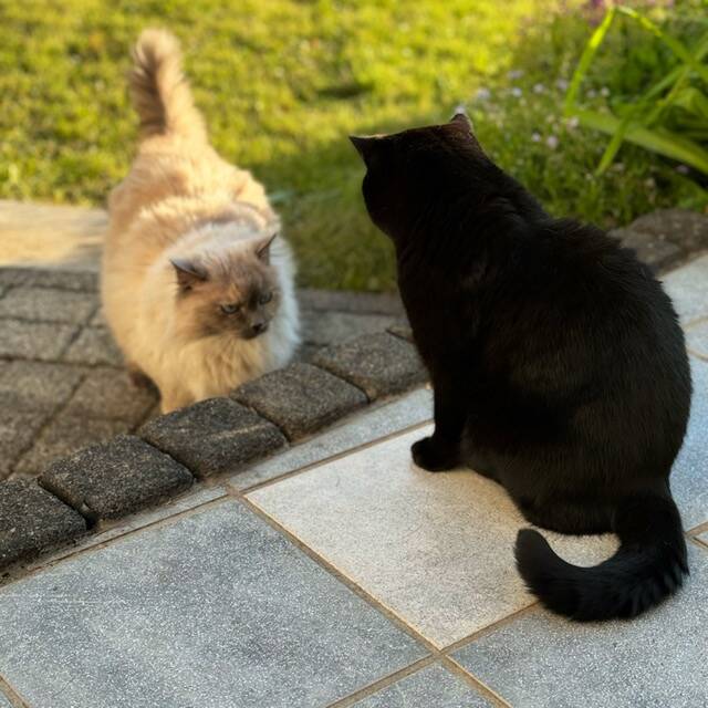 Denise und Tom