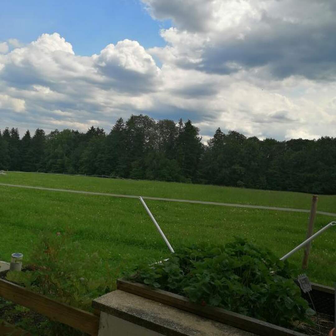 Furth im Wald