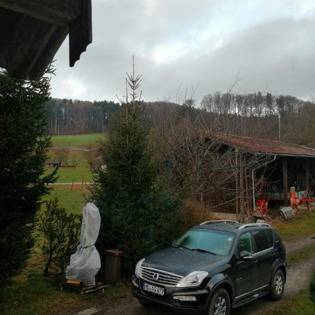 Auf der Suche nach Schnee