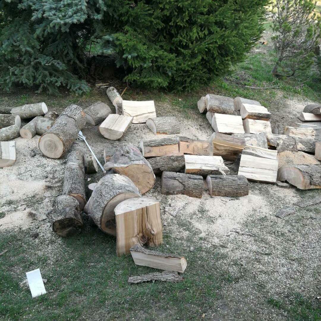 Die Reichen und Schönen