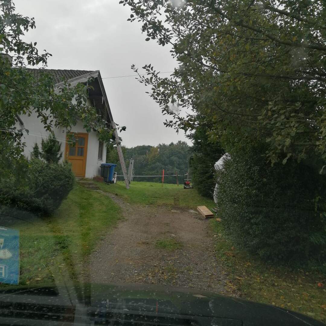 Das Herz des Königs
