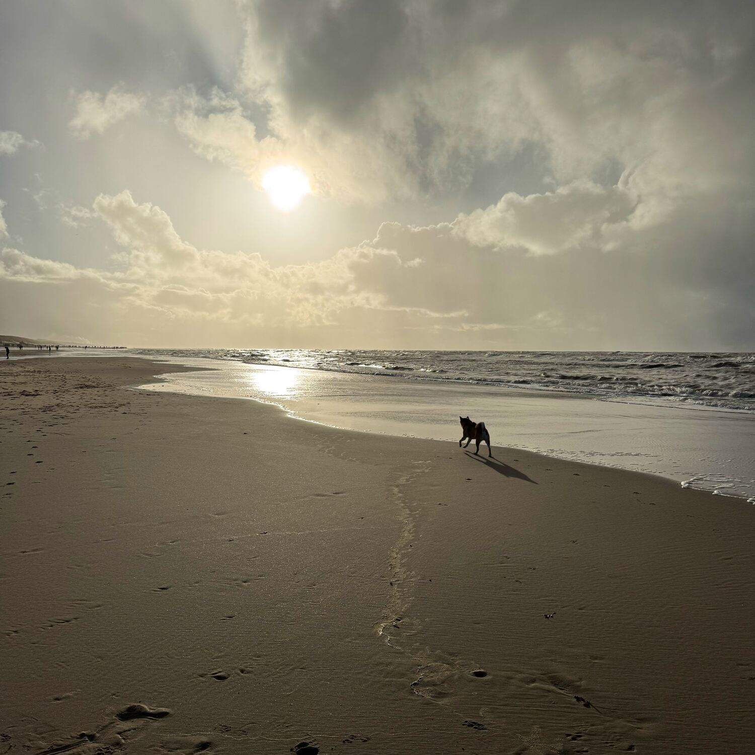 Neujahr an der Nordseeküste