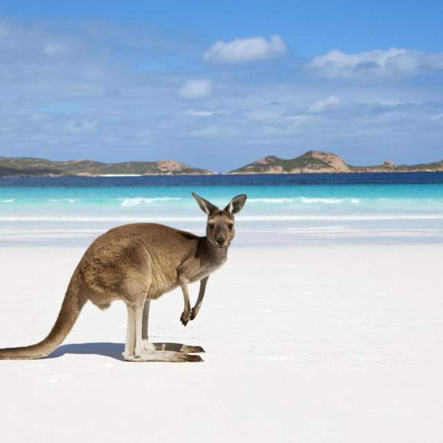 Colors of West Australia