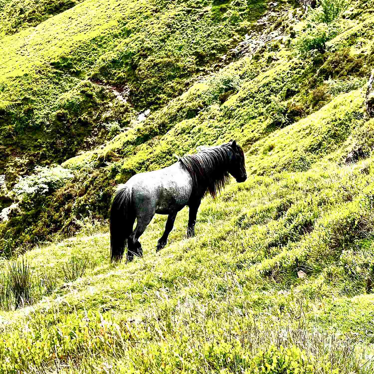 Walking in Wales