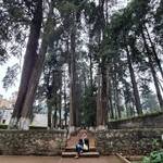 Elizabeth Tirado Torrontegui