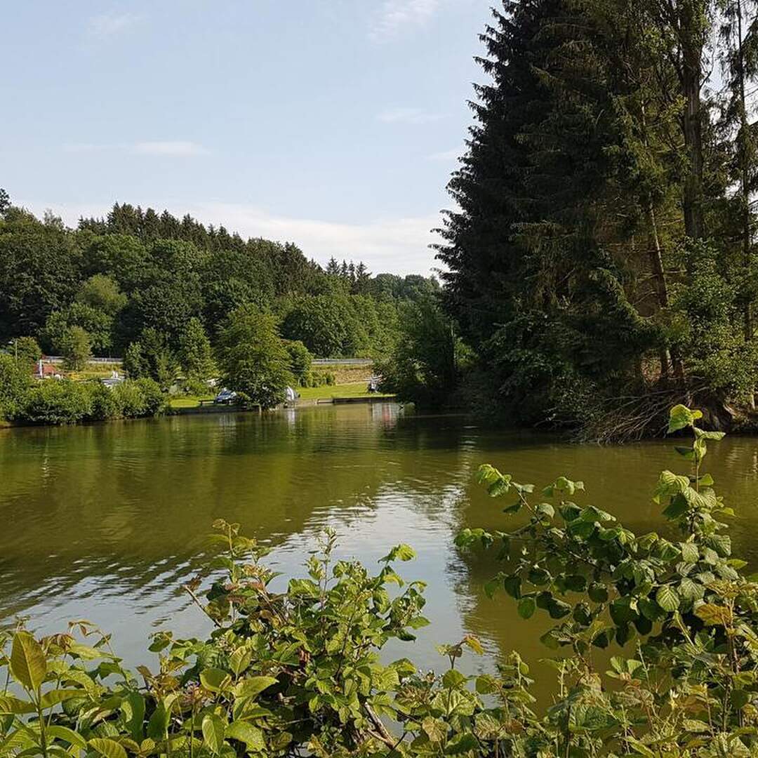 Markt Wald