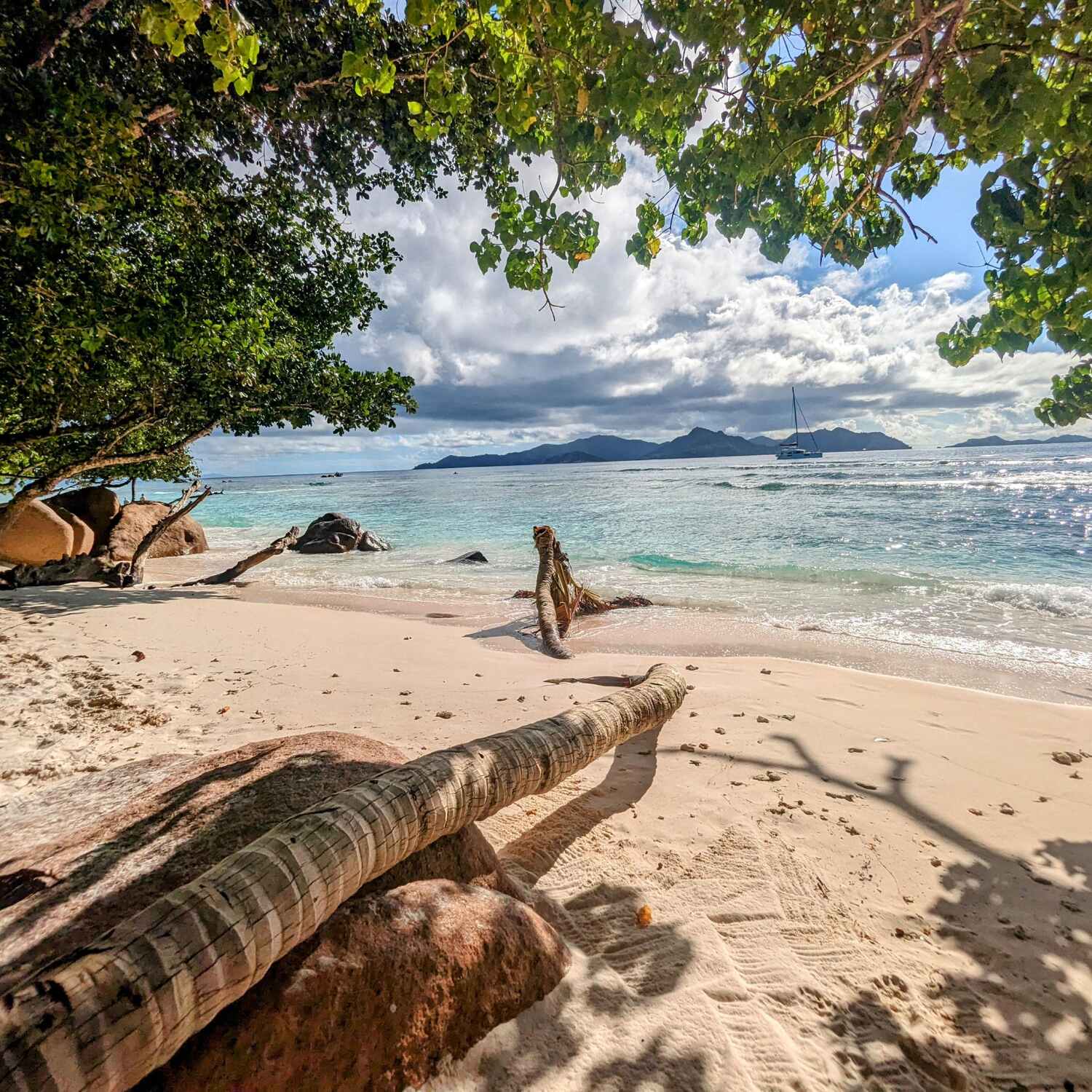 Island hopping