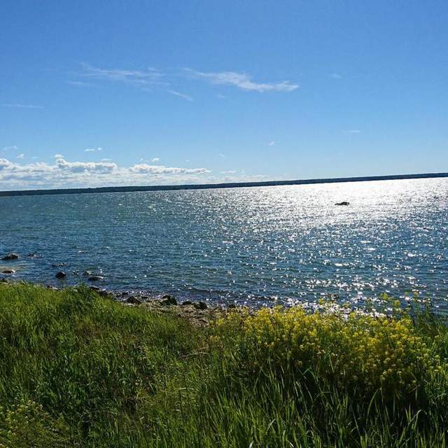 Finnischer Meerbusen