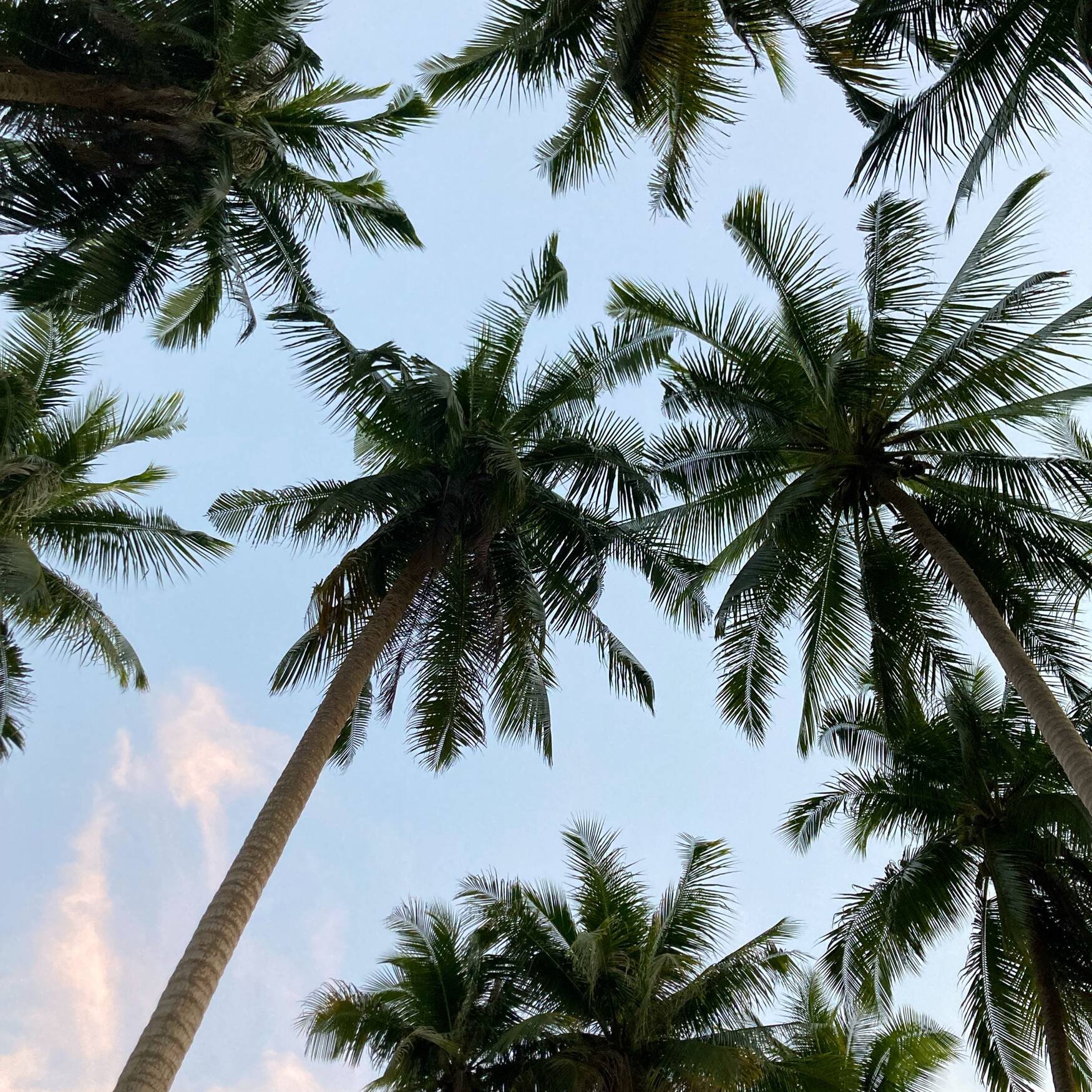 Surat Thani and Islands