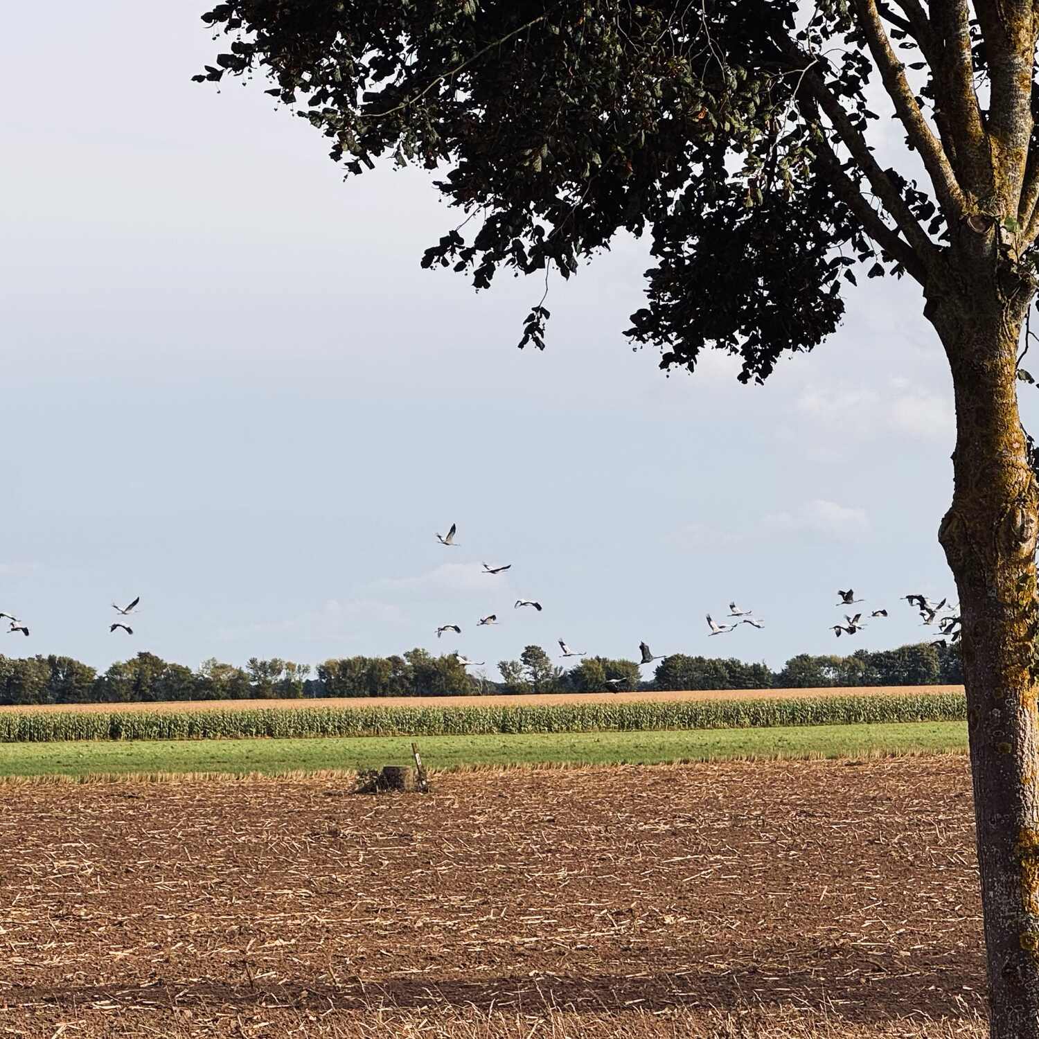 Leuchtturmtour Friesland