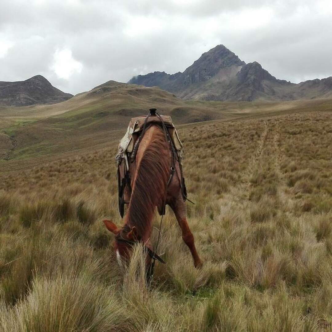Ecuador