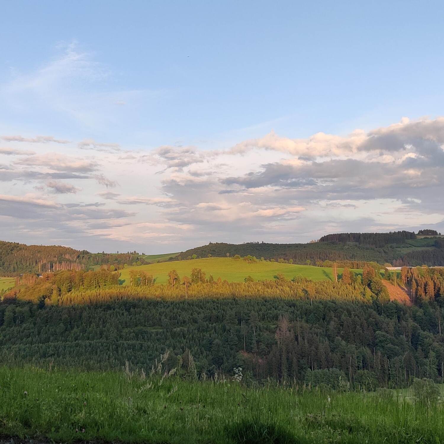 Uplandsteig - Sauerland