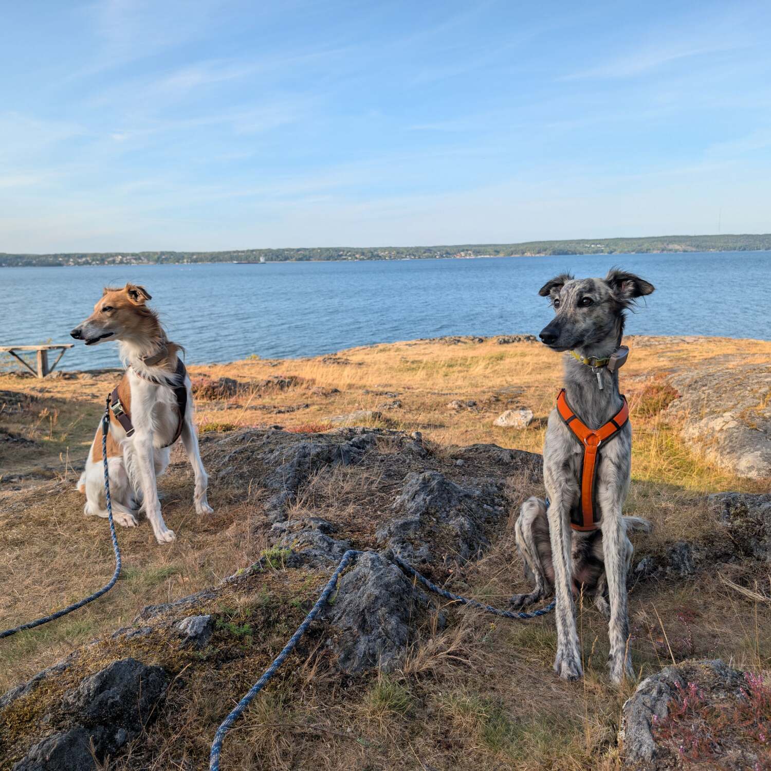 Spontan nach Südschweden