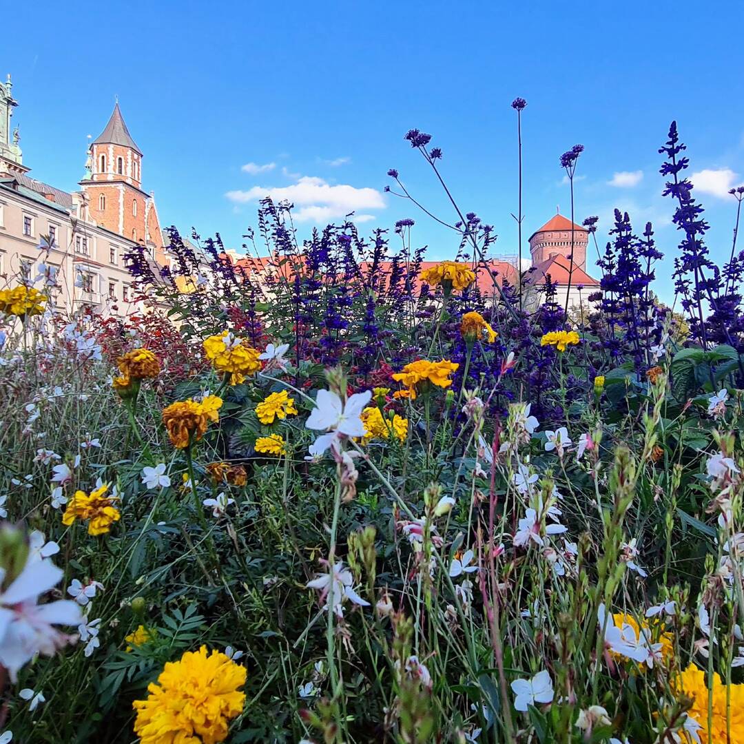 Krakow, Poland 🇵🇱
