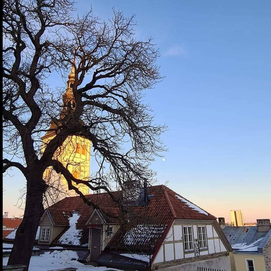 Tallinn, Estonia 🇪🇪