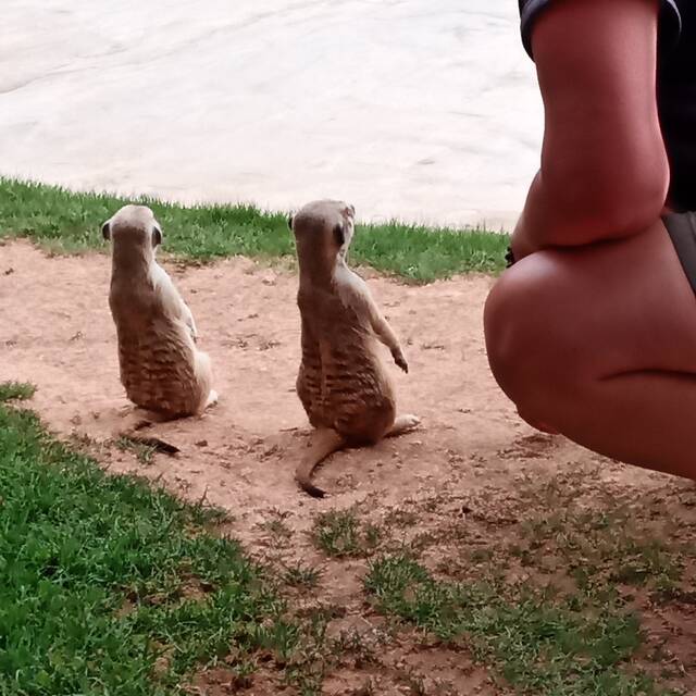ToKeRo