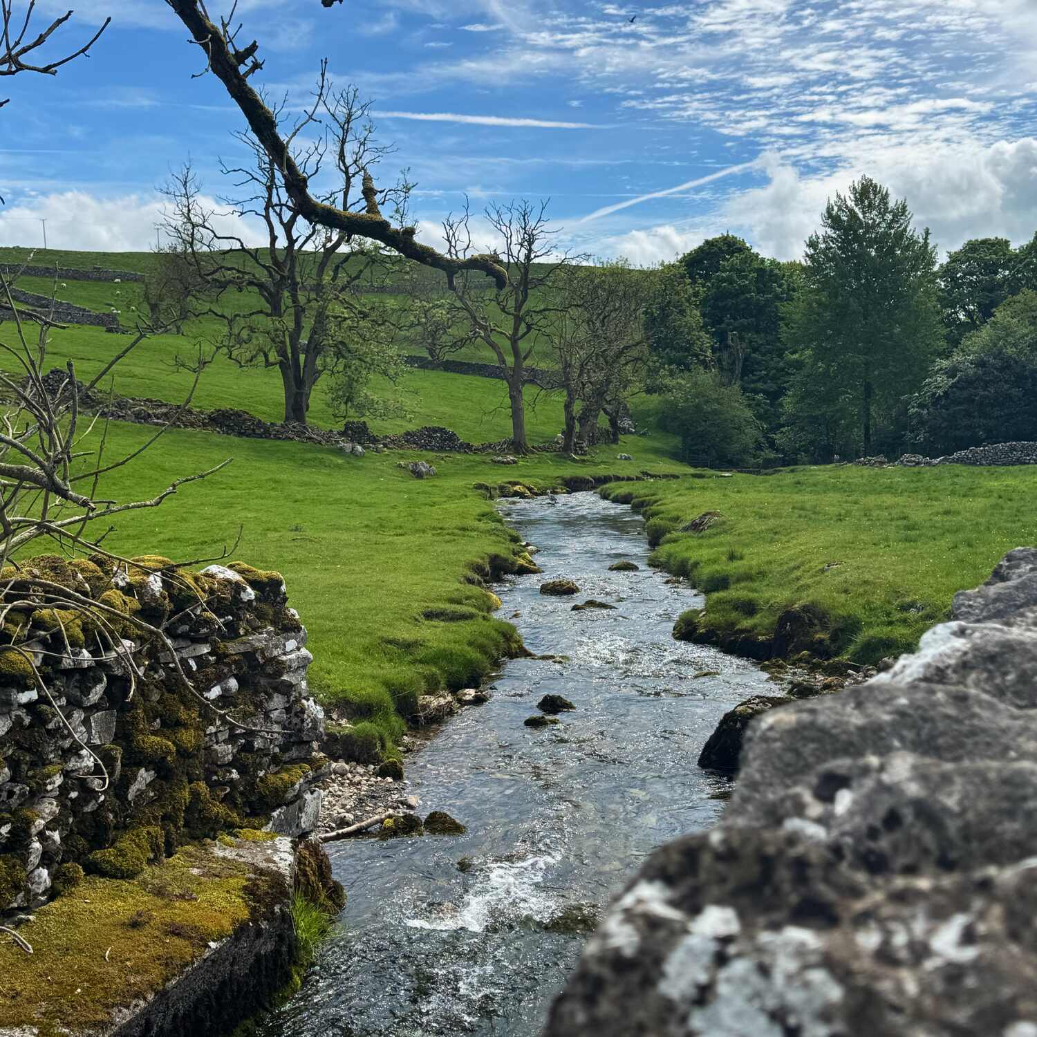 Hiking in the Dales