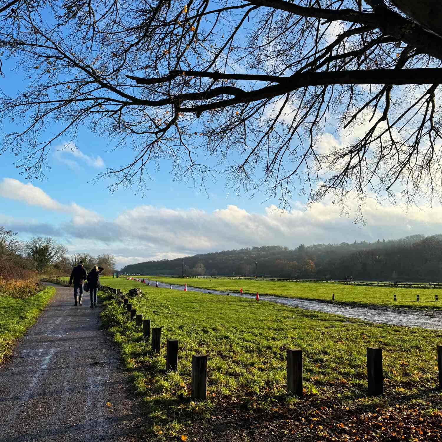 Runnymede Day Trip