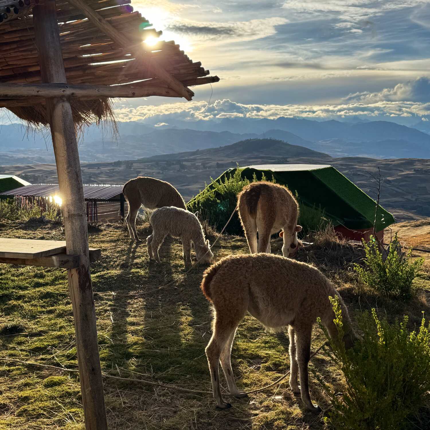 Adventures in Colombia & Peru