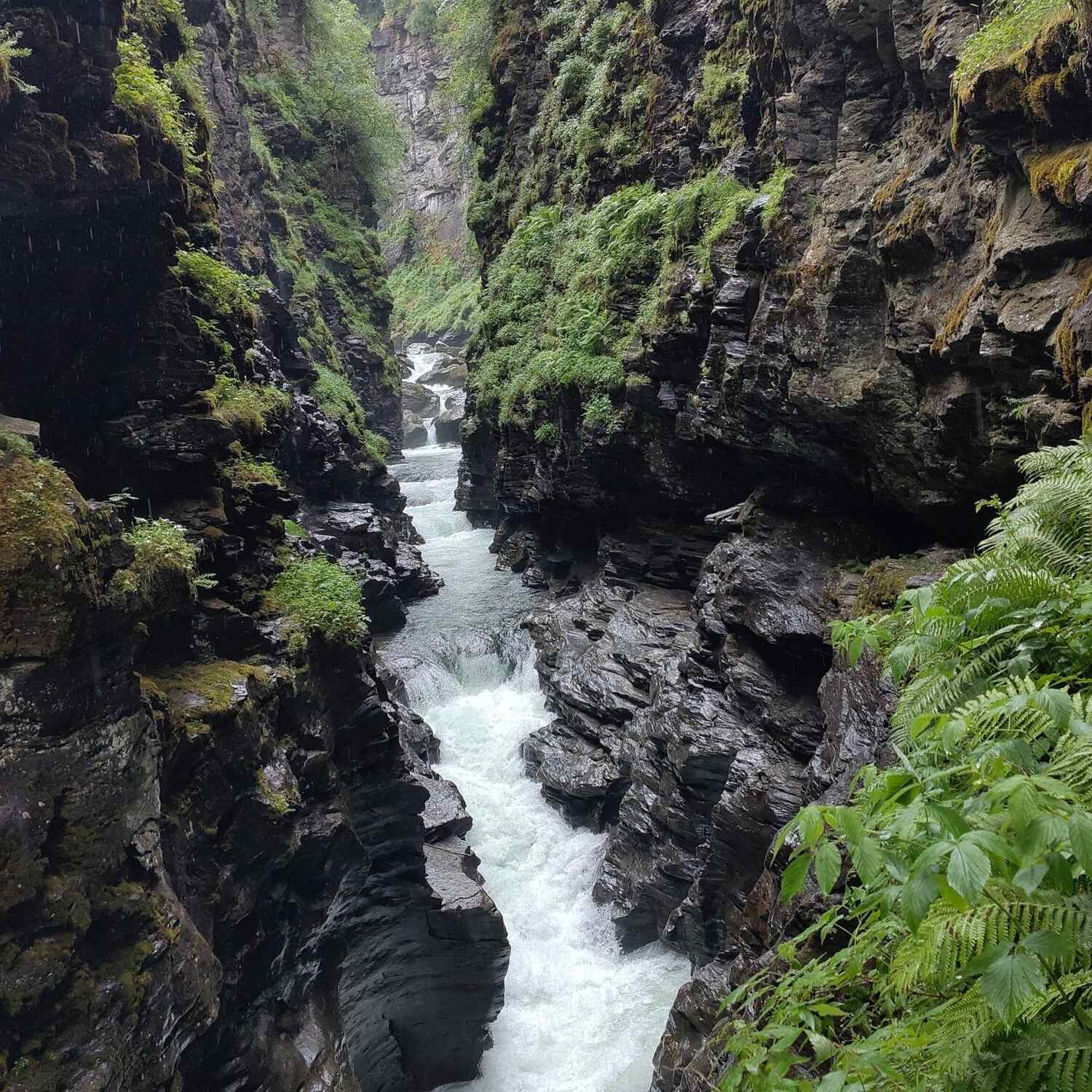 Noorwegen