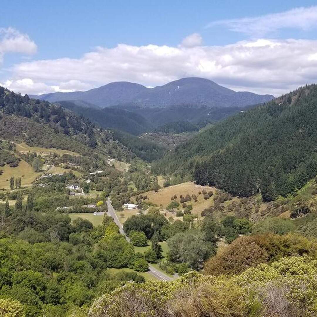 New Zealand 2020