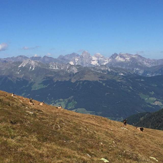 Südtirol 2017