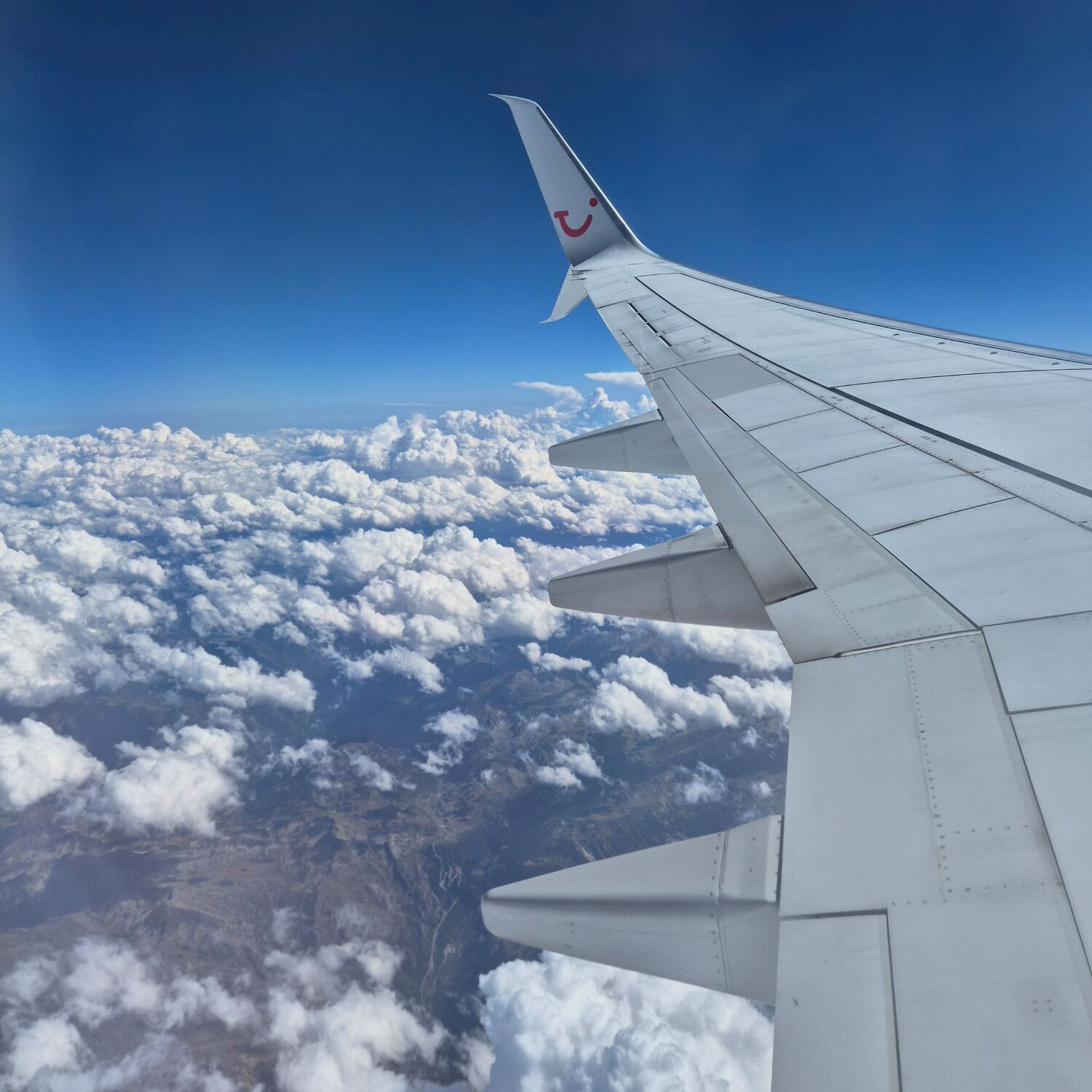 Fuerteventura 🐬🥂