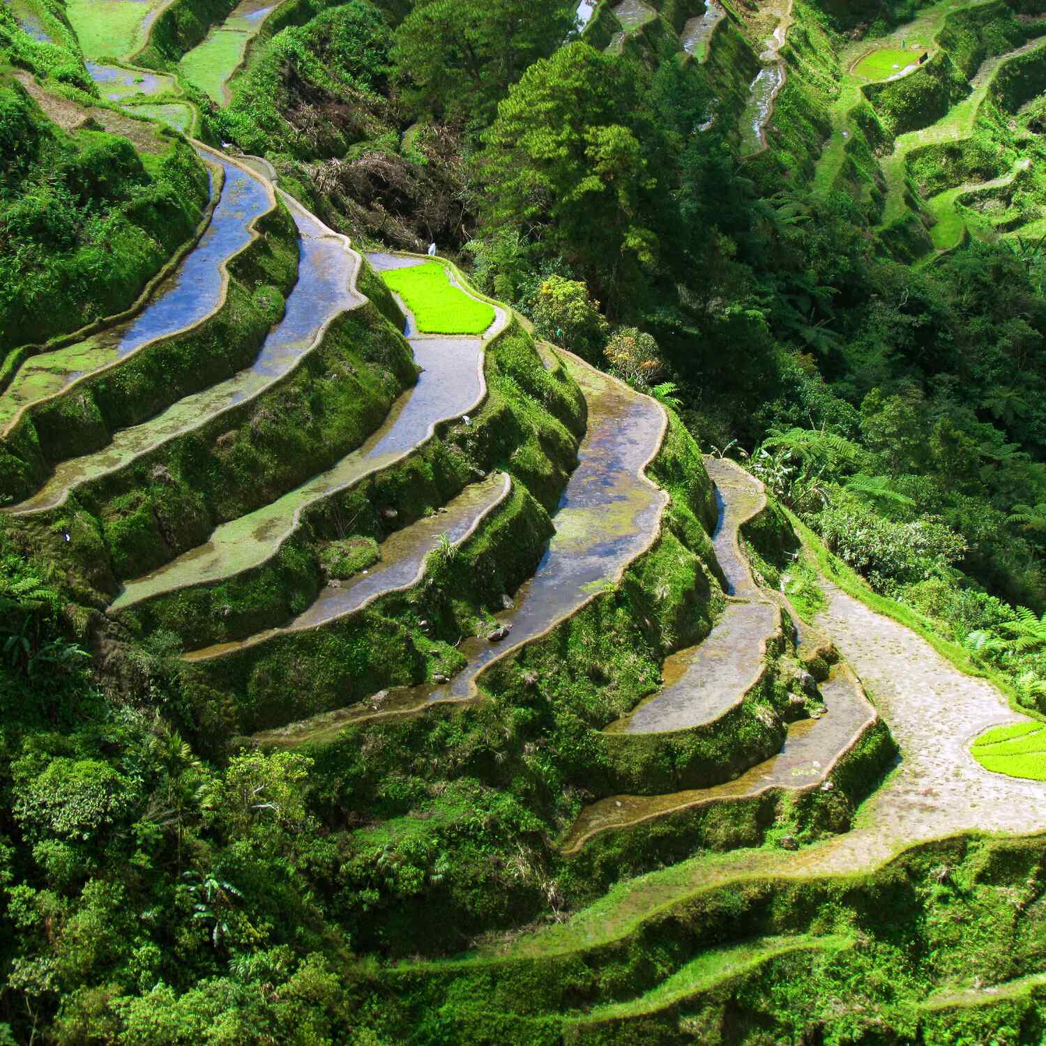 🇵🇭 Philippinen 2026