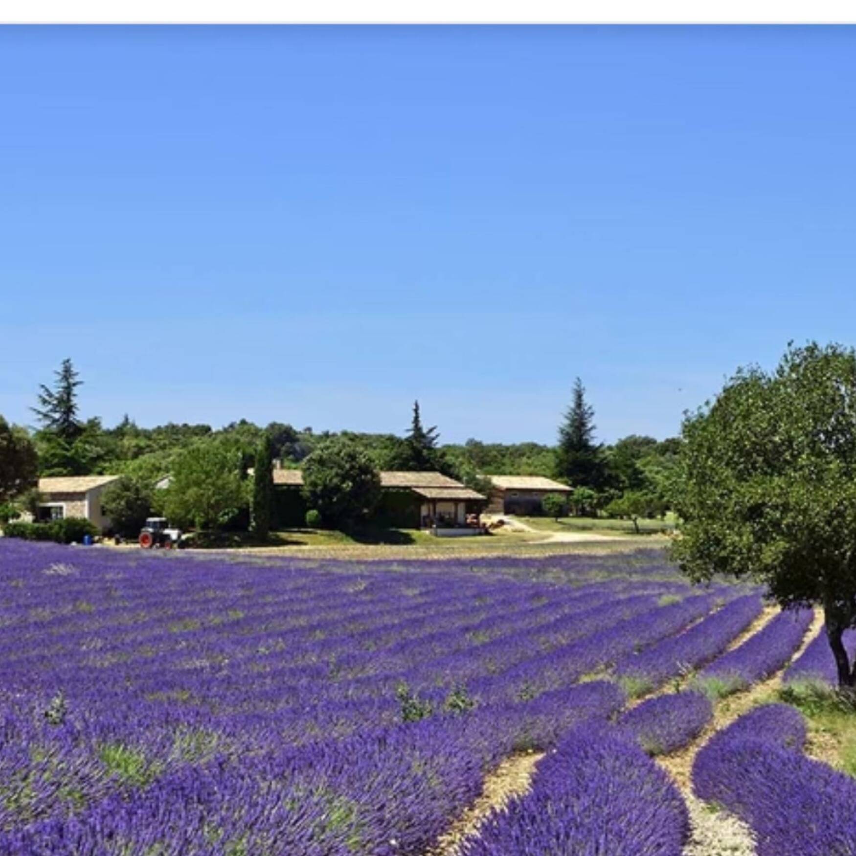 Le Grande Tour