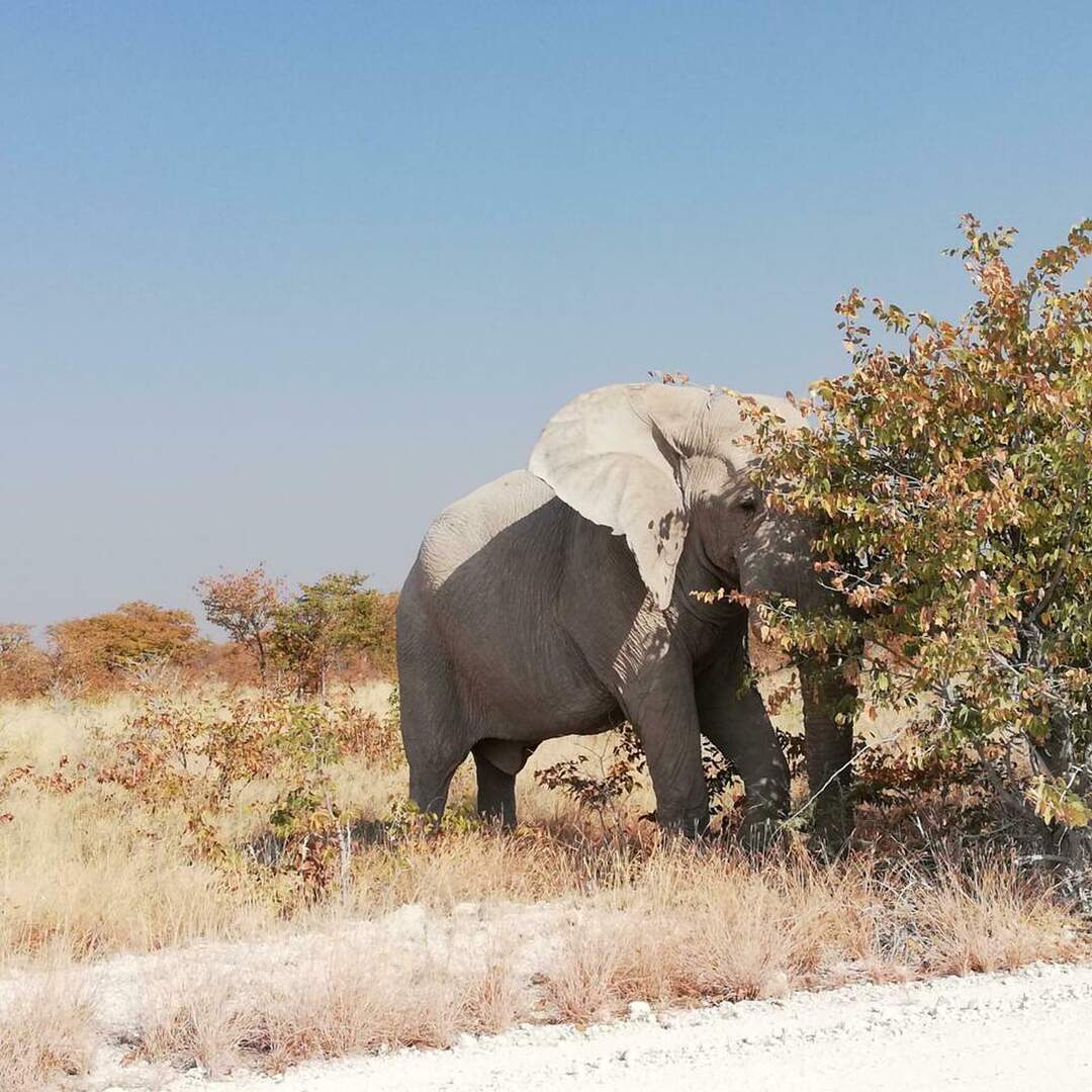 Namibia