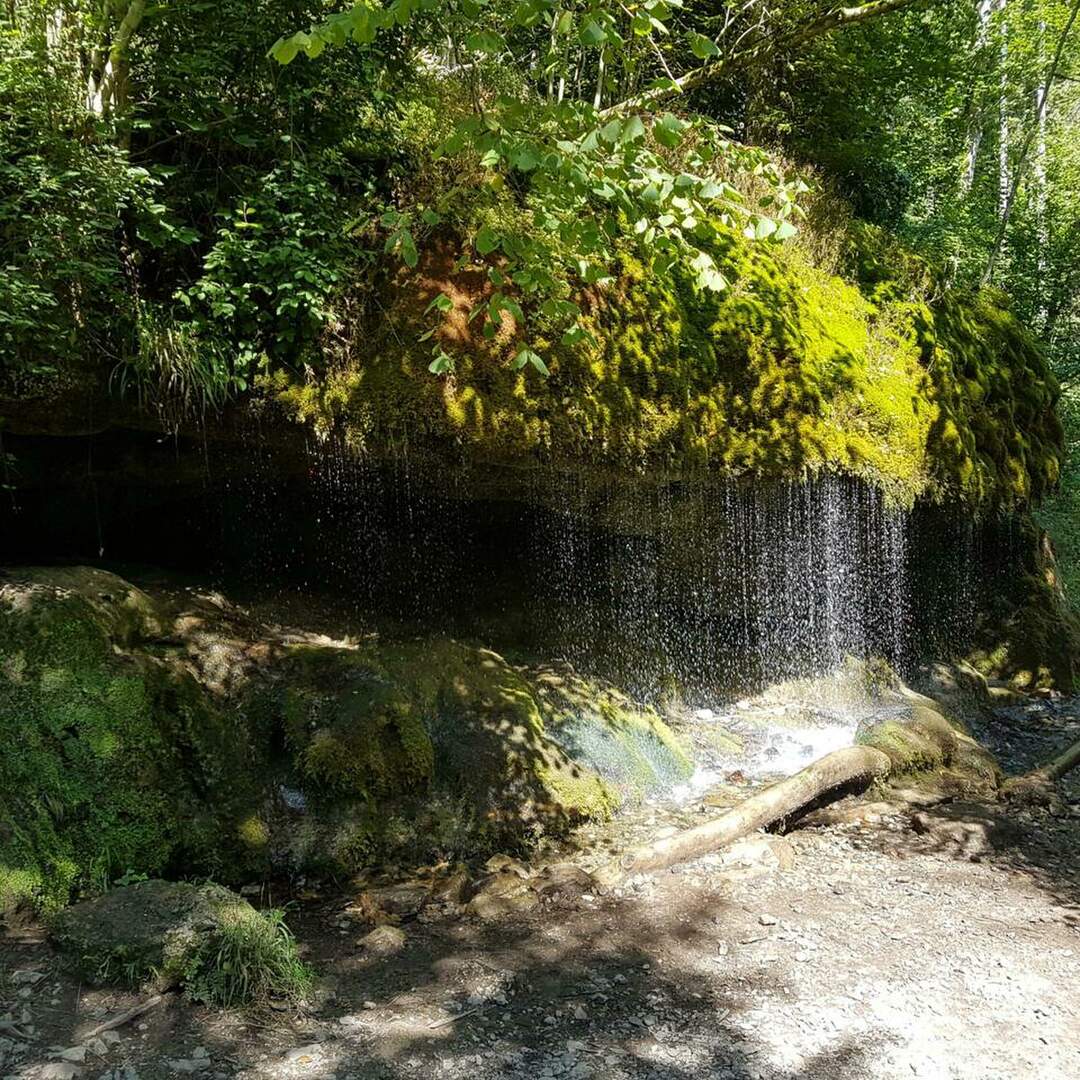 Schluchten im Hochschwarzwald