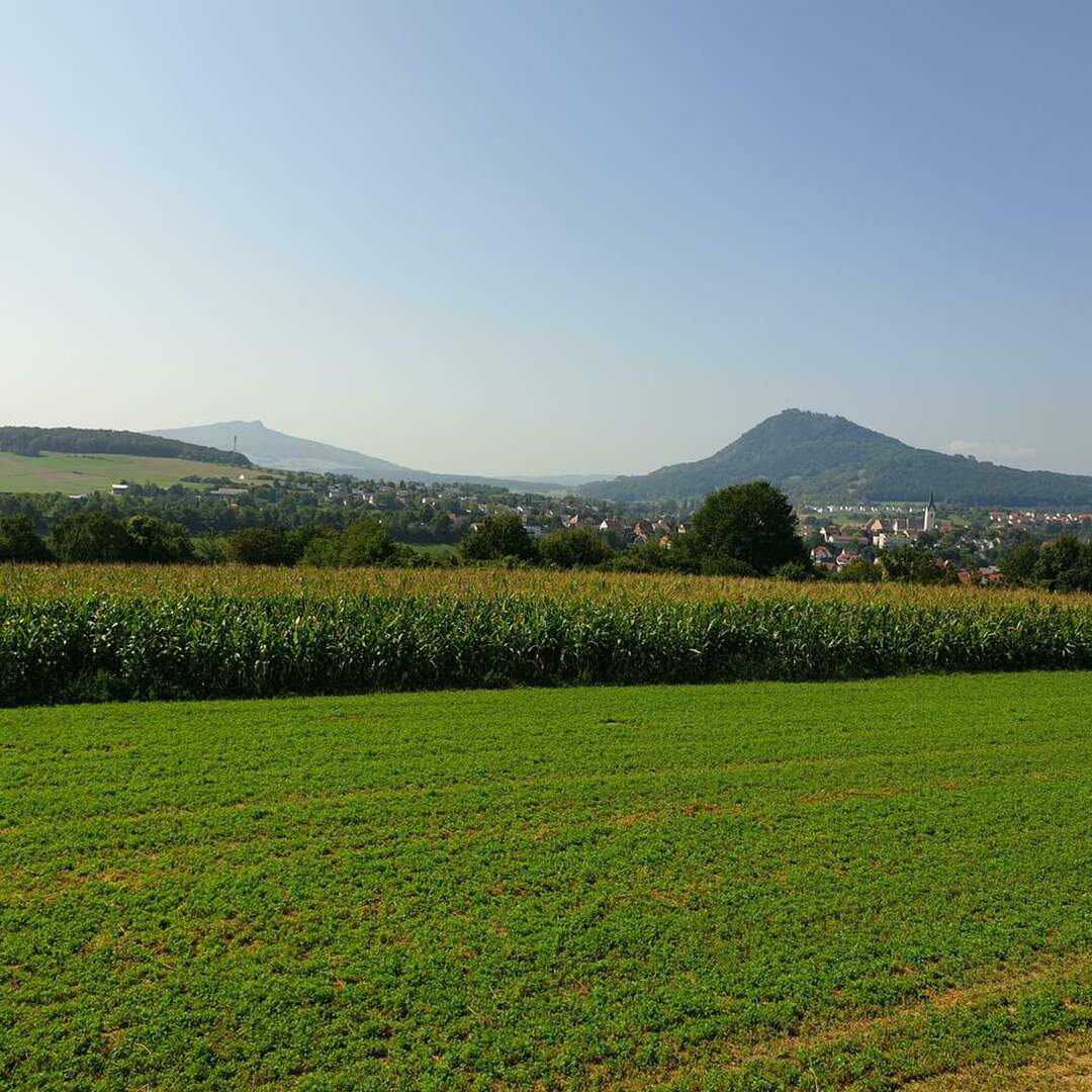 Zürich