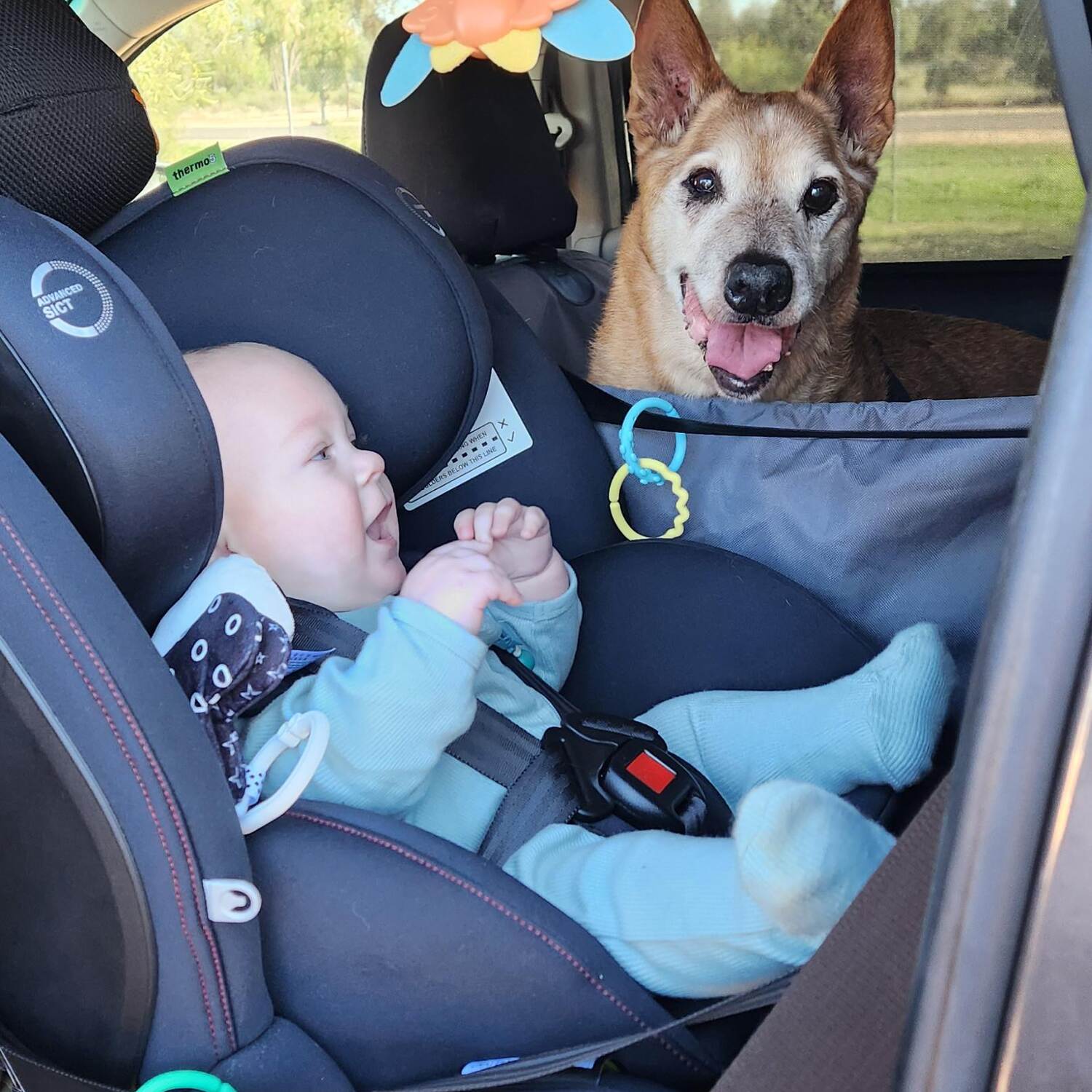 Max's First Road Trip