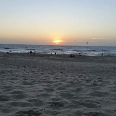 Texel