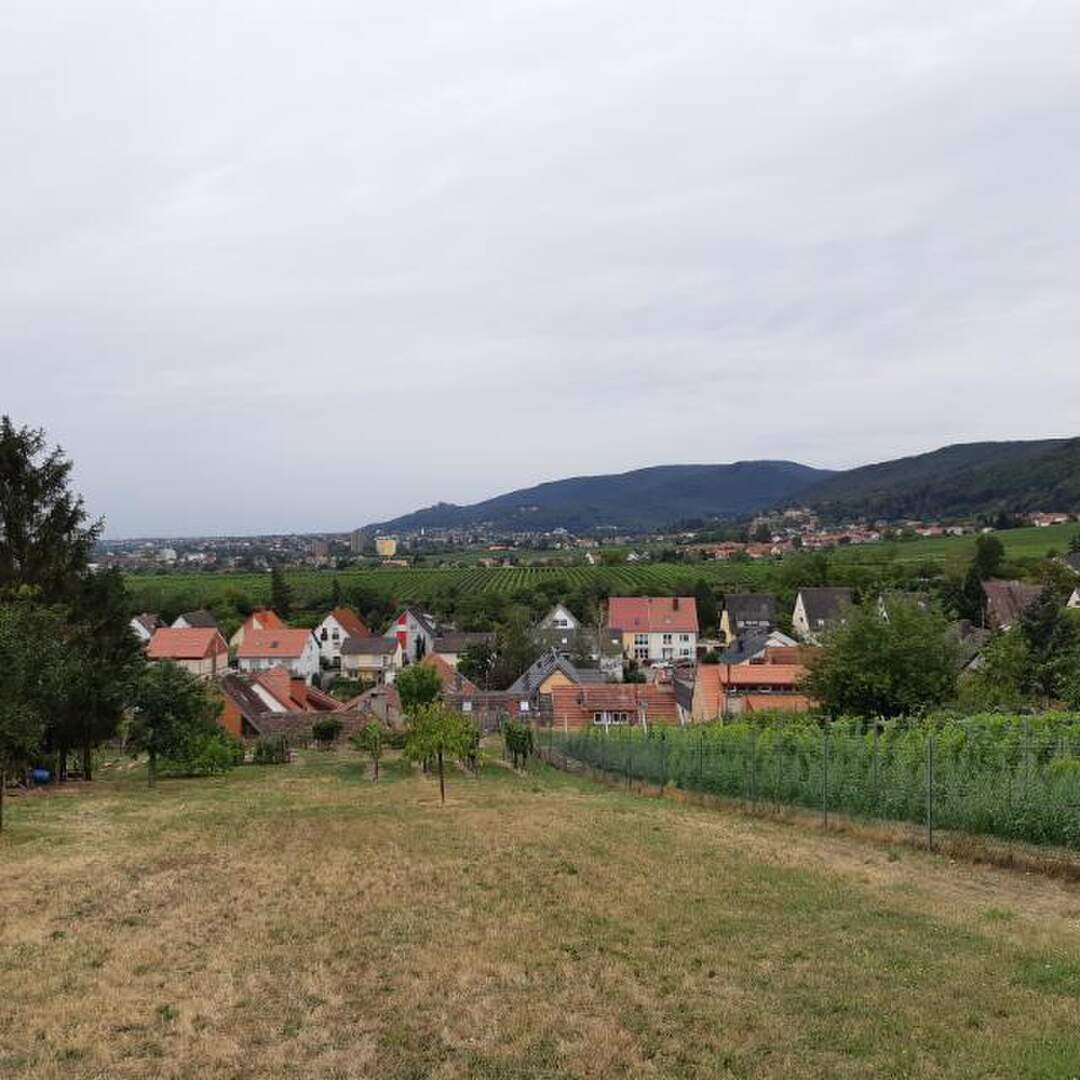 Auf in die Pfalz
