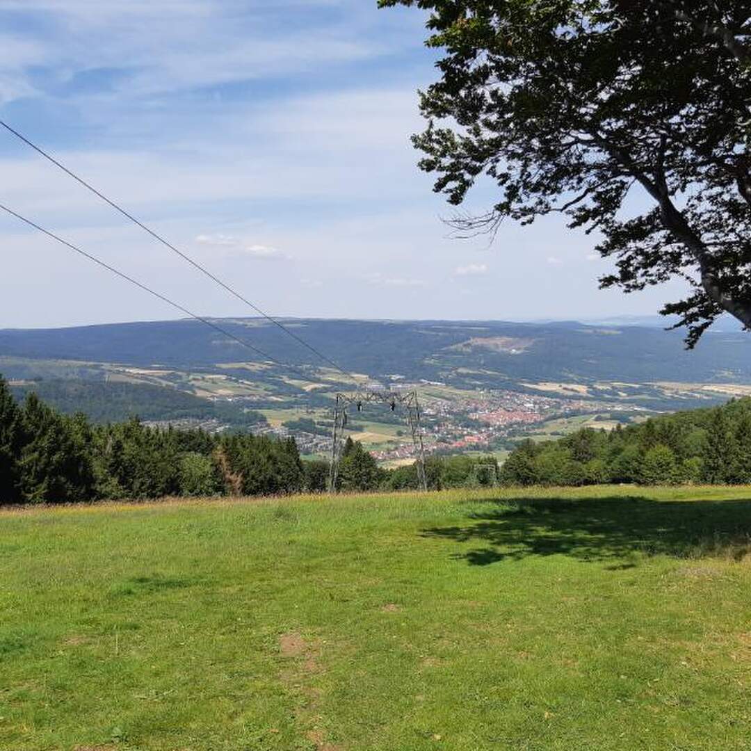 Volleyballerausflug