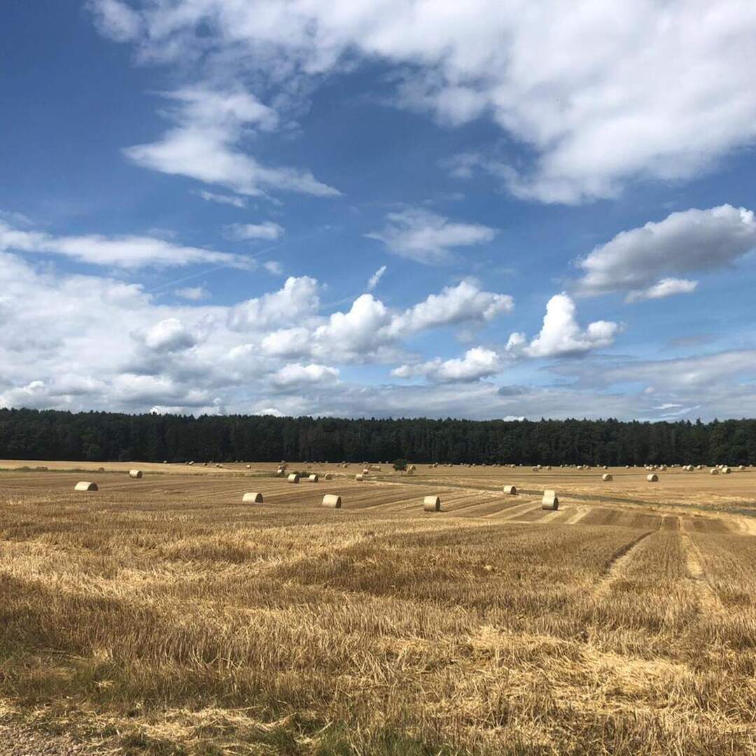 Sommer 2020