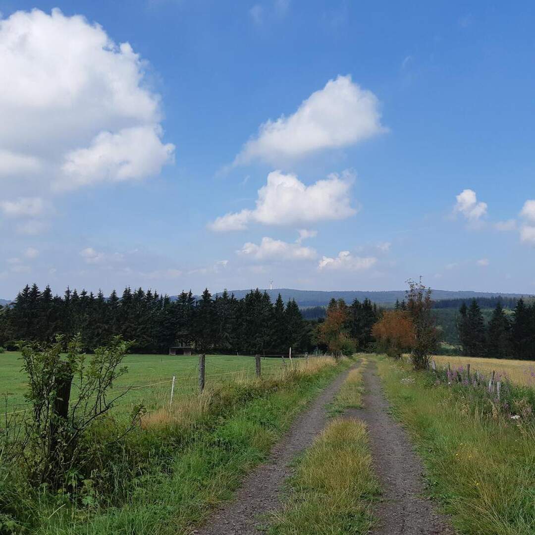 Wandern Hoherodskopf
