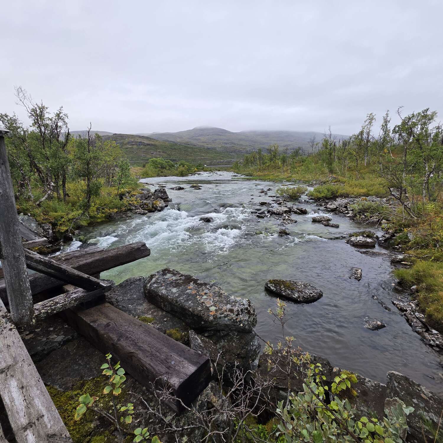 Schwedens Norden und andere Umwege