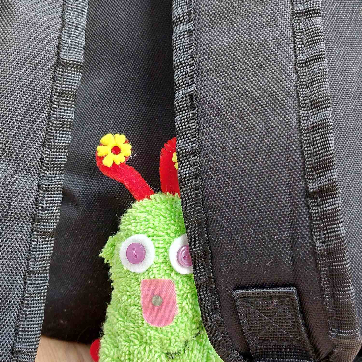 Das kleine WIR auf Kreuzfahrt!