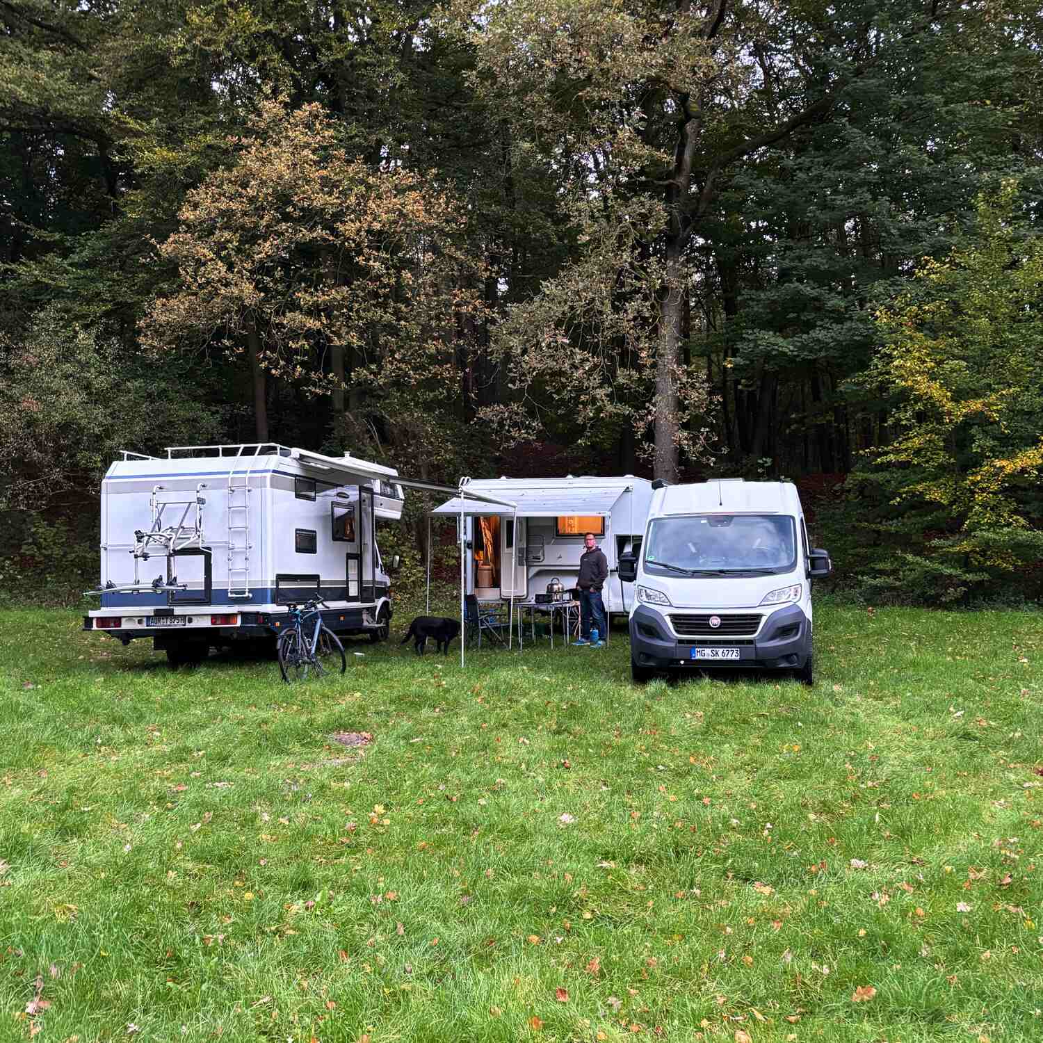 Rüsselzeit im Emsland