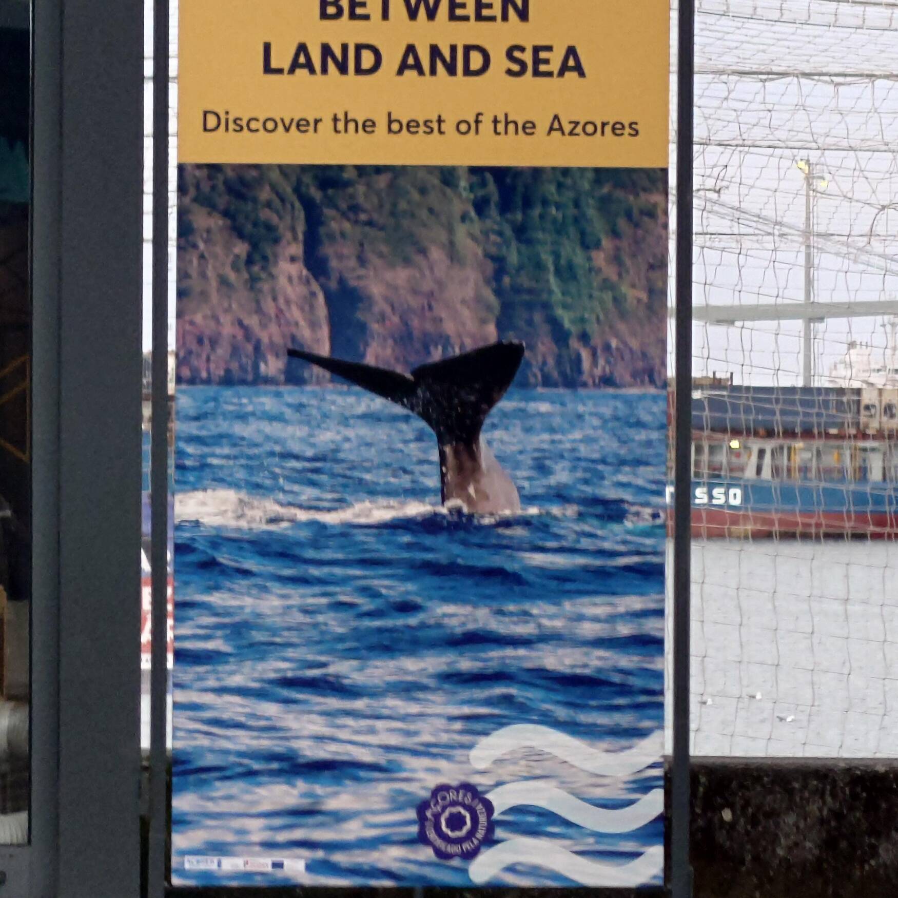 Azores and lisbon stopover